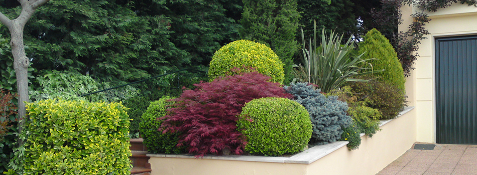 Κήπος και Πράσινη Στέγη